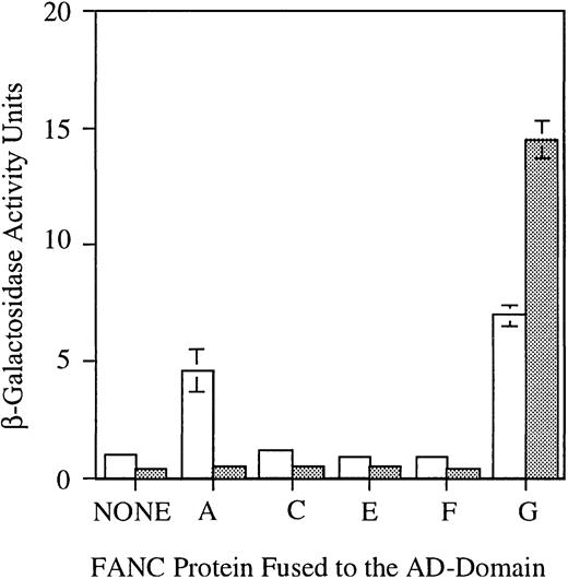 Figure 4. Mediation of BD-FANCF interactions by conditionally expressed HA-FANCG in the 3-hybrid system. The BrFG construct was paired with constructs expressing the indicated AD-fusion proteins by mating haploid yeast strains. HA-FANCG is expressed from the BrFG construct in the absence of methionine (□) but repressed by the presence of 4 mM methionine in the media (▦). The BD-FANCF fusion protein is constitutively expressed, as are all AD fusions. Activation of the LacZ reporter gene was measured in AH109/Y187 diploids by liquid β-galactosidase assay. β-Galactosidase activity units were calculated as in Figure 1. The results shown indicate the mean and SE for 3 (+Met) or 4 (-Met) assays, each done in triplicate.
