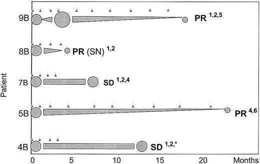 Figure 2. Time course of responding patients. Response confirmed by (1) CT scan, (2) ultrasound, (3) PET scan, (4) blood tests, (5) lymph node, or (6) bone marrow biopsy. indicates treatment cycle; ⬢, relative tumor mass; SN, subcutaneous nodules; * lost to follow up.