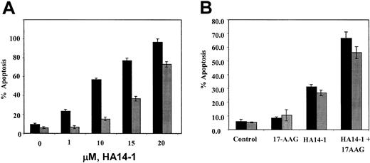 Figure 7. Effects of HA14-1 and/or 17-AAG on HL-60 cell types. (A) Ectopic overexpression of Bcl-2 confers resistance against HA14-1—induced apoptosis of HL-60 cells. HL-60/Neo (▪) and HL-60/Bcl-2 (▦) cells were treated with indicated concentrations of HA14-1 for 16 hours. Following this, cells were harvested and stained with annexin V, and the percentages of positively stained apoptotic cells were determined by flow cytometry. The bar graphs represent mean ± SE of 3 experiments. (B) Cotreatment with HA14-1 enhances 17-AAG—induced apoptosis of HL-60/Bcl-2 cells. HL-60/Bcl-2 cells were incubated with 15 μM HA14-1, with or without 5.0 μM 17-AAG, for 16 hours. Following this, the percentage of apoptotic cells was determined by annexin V (AV, ▪) or propidium iodide (PI, ▦) (for sub-G1 fraction) staining followed by flow cytometry. Values represent the mean ± SE of 3 experiments.