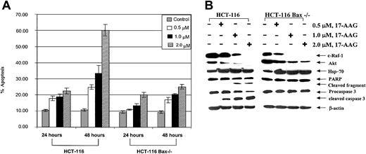 Figure 8. Effects of 17-AAG on HCT-116 cell types. (A) HCT-116 Bax-/- cells were resistant to 17-AAG—induced apoptosis. The control HCT-116 and Bax-deficient HCT Bax-/- cells were exposed to 0.5, 1.0, and 2.0 μM 17-AAG for 24 to 48 hours. Following these treatments, treated and untreated cells were stained with annexin V, and the percentages of positively stained cells were quantitated by flow cytometry. Values represent the mean ± standard error of the mean (SEM) of 3 experiments. (B) Treatment with 17-AAG depletes c-Raf-1 and Akt as well as induces Hsp-70, but does not cause PARP cleavage or processing of caspase-3. HCT-116 and HCT-116 Bax-/- cells were treated with 0.5, 1.0, or 2.0 μM 17-AAG for 24 hours. Cells were harvested, and cell lysates were used to determine the levels of c-Raf-1, Akt, and Hsp-70, as well as processing of PARP and caspase-3 levels by Western blot analysis. As the loading control, β-actin was used.