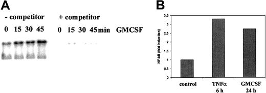 Figure 4. Activation of NF-κB activity by GMCSF. (A) HUVECs were incubated in the presence of GMCSF as indicated, followed by preparation of nuclear extracts and electrophoretic mobility shift assay with 32P-labeled NF-κB binding oligonucleotides in the absence or presence of an excess of unlabeled competitor oligonucleotides. (B) HUVECs were transfected with an NF-κB—dependent luciferase reporter construct containing 5 tandem repeats of the NF-κB binding site and an NF-κB—independent β-galactosidase vector as normalization control. One day after transfection, GMCSF or TNF-α was added and cell extracts were prepared after the time points indicated, followed by measurement of luciferase and β-galactosidase activity. The stimulation of NF-κB activity as compared with the vector control is given. Data represent the averages of 2 independent experiments.