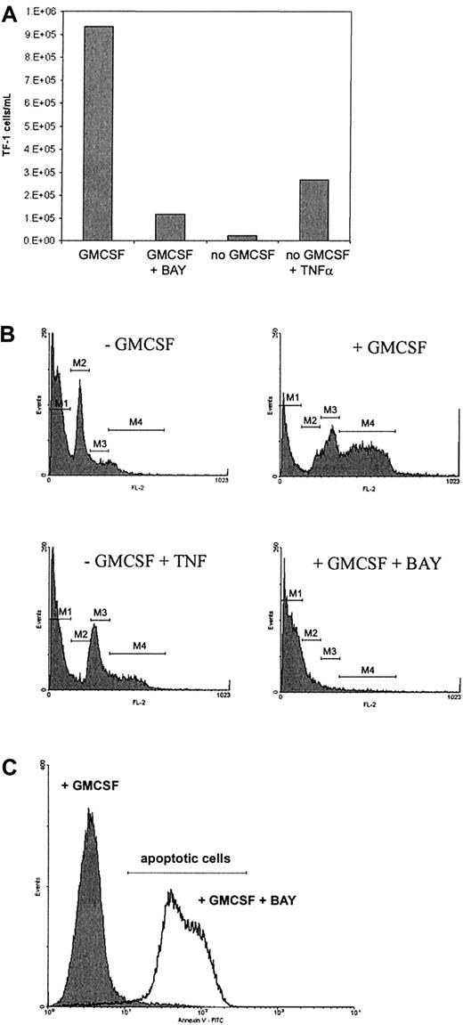 Figure 5. Functional role of the GMCSF-mediated NF-κB activation. (A) Effect of NF-κB inhibition or GMCSF withdrawal on the proliferation of TF-1 cells. Cells were incubated for 3 days in the presence or absence of GMCSF (2 ng/mL), in the presence of GMCSF and the specific NF-κB inhibitor Bay 11-7082 (BAY; 5 μM), or in the absence of GMCSF but in the presence of TNF-α (200 U/mL). Cell numbers were recorded by flow analytic counting of cells at defined flow rates. (B) Cell cycle analysis of TF-1 cells. Cells were GMCSF-starved for 24 hours followed by readdition of GMCSF in the absence or presence of the NF-κB inhibitor Bay 11-7082. Alternatively, cells were further incubated in the absence of GMCSF with or without addition of TNF-α. After 24 hours, cells were fixed and permeabilized, followed by propidium iodide staining in the presence of RNAse to label DNA. Cells containing less than the diploid DNA content (M1; sub-G0/G1) represent apoptotic cells. The positions of G0/G1 (M2), S-phase (M3), as well as G2/M-phase cells (M4) are indicated. (C) Apoptosis of TF-1 cells after inhibition of NF-κB. Cells were incubated in the presence of GMCSF with or without addition of the NF-κB inhibitor Bay 11-7082 for 27 hours. Apoptotic cells were detected by flow analysis after binding of FITC-labeled annexin V.