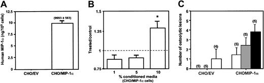 Figure 3. Osteolysis at distant skeletal sites in mice bearing intramuscular CHO/MIP-1α-secreting tumors. (A) Human MIP-1α was determined in media harvested from exponentially growing empty vector- and MIP-1α-expressing CHO cells (CHO/MIP-1α) by a specific ELISA. (B) Stimulation of osteoclastic bone resorption in 45Ca-labeled fetal rat long bone organ cultures by media conditioned by CHO/MIP-1α cells after 5 days. Data are expressed as a ratio of the basal level of stimulation induced by an equivalent concentration of empty vector-transfected (CHO/EV) cells. (C) Tumors were induced by inoculating tumor cells into left thigh muscles of BALB/c nu/nu mice (n = 5 per group), and radiographs were obtained at baseline and thereafter weekly for 5 weeks. Osteolytic lesions were evident in the contralateral hind limbs of CHO/MIP-1α tumor-bearing mice from week 3 and increased progressively thereafter. Lesions were discernable in the contralateral hind limb of only one CHO/EV tumor-bearing mouse, and this was after 5 weeks. □ indicates week 3; ▦, week 4; and ▪, week 5. See “Statistical analysis.”