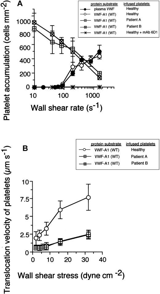 Figure 1. The impact of the Gly233Val mutation on platelet attachment and translocation velocities. (A) Platelets (5 × 107/mL) purified from 2 patients with PT-VWD or 5 healthy individuals were infused at the indicated wall shear rates through a parallel plate flow chamber apparatus for 5 minutes. The total number of healthy platelets attached to either surface-immobilized plasma VWF (25 μg/mL) or recombinant VWF-A1 protein (100 μg/mL) was determined and compared with PT-VWD platelet interactions with VWF-A1 (mean ± SD; n = 5). The specificity of the interaction was determined by the ability of the GPIbα-blocking antibody, mAb 6D1, to inhibit healthy platelet or PT-VWD platelet (not shown) to A1 substrate. (B) Mean translocation velocities for healthy or PT-VWD platelets (n = 30 to 40 cells) interacting with the immobilized VWF-A1 substrate were determined at the indicated wall shear stresses. Data represent the mean ± SD for 3 to 4 independent experiments performed in duplicate.