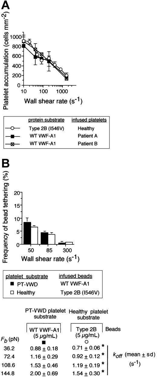 Figure 5. Comparison of the kinetics of the GPIbα–VWF-A1 tether bond for PT-VWD versus type 2B VWD. (A) Platelet accumulation on WT versus type 2B mutant VWF-A1 substrate at the indicated wall shear rates. (B) The frequency of tether bond formation and cellular off-rates (Table 2) for beads coated with either WT or type 2B VWF-A1 protein (5 μg/mL) interacting with the indicated platelet substrate was performed as described in panel A. Data represent the mean ± SD for 5 independent experiments at each wall shear stress tested. *P > .1.