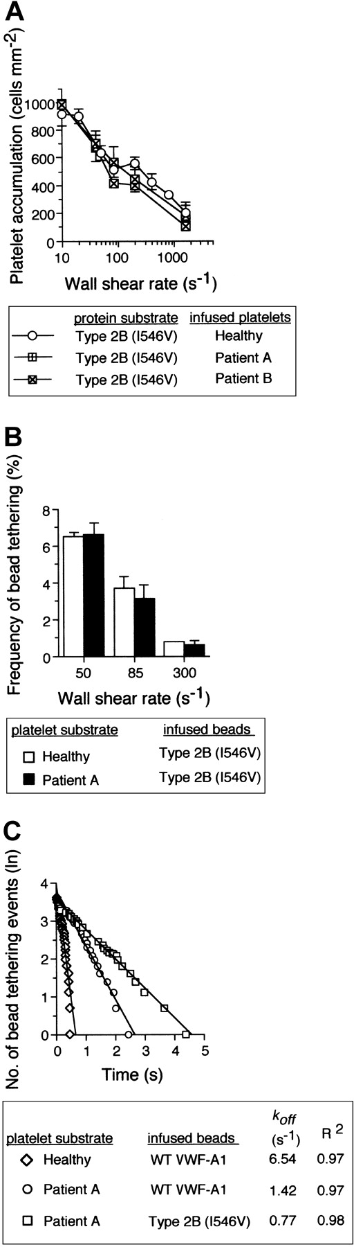 Figure 6. The impact of the type 2B mutant A1, Ile546Val, on PT-VWD platelet attachment and tether bond formation in flow. (A) Platelets (5 × 107/mL) purified from 2 patients with PT-VWD or 2 healthy individuals on 3 consecutive days were infused at the indicated wall shear rates through a parallel platelet flow for 5 minutes. The total number of platelets that attached to surface-immobilized recombinant type 2B mutant protein (100 μg/mL) was determined and compared (mean ± SD; n = 6). (B) Frequency of tether bonds formed between beads coated with a low density of type 2B mutant VWF-A1 and healthy or PT-VWD platelet substrates as a function of wall shear rate (s-1). (C) Representative graph depicting the distribution of interaction times for more than 35 individual transient attachment events that occurred between microspheres coated with WT or type 2B VWF-A1 and surface-immobilized platelets purified from healthy individuals or patient A with PT-VWD. Dissociation rate constants were estimated at wall shear stress of 1.0 dyne cm-2. koff is the negative slope of the linear regression through the experimental data.