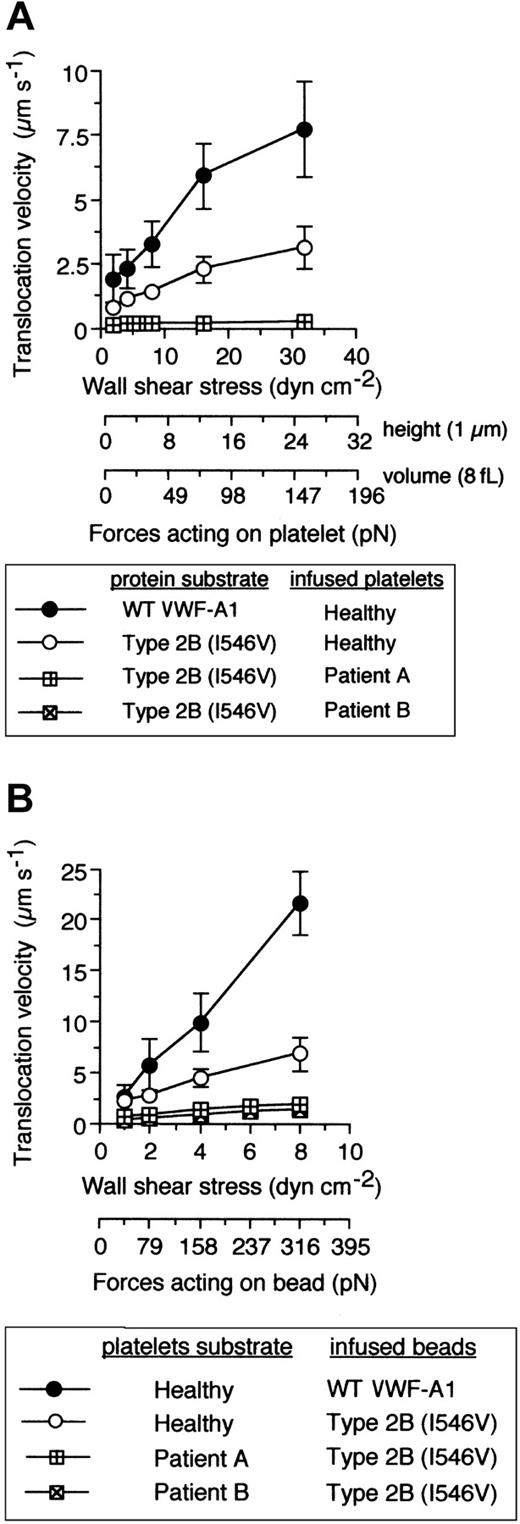 Figure 7. The combination of PT and type 2B mutations significantly reduces translocation velocities. (A) Mean translocation velocities for interacting healthy or PT-VWD platelets (n = 30 to 40 cells) on the indicated VWF-A1 substrates (100 μg/mL). Data represent the mean ± SD for 3 to 4 independent experiments performed in duplicate. (B) Translocation velocities of WT or type 2B–coated beads (100 μg/mL) on the indicated platelet substrates. Beads that had accumulated on surface-immobilized platelets were subjected to incremental increases in wall shear stress and rolling velocities calculated for a minimum of 50 beads over 10-second intervals. Data represent the mean ± SD for 3 to 4 independent experiments performed in duplicate.