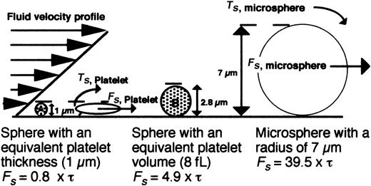 Figure 8. Schematic model depicting the hydrodynamic forces encountered by surface-interacting platelets versus microspheres. The force (Fs) acting on a platelet and a 7-μm bead in shear flow is depicted. Representative hard spheres with diameters proportional to the thickness (A) or volume of a discoid platelet (B) are also shown. The equations of Goldman (Fs = 6πRhCF τ; Ts = 4πR3CF τ) were used to estimate the forces (Fs) acting on a platelet or bead based on a motionless hard sphere in shear flow near a wall, where τ is the shear stress, R is the sphere radius, h is the distance from the center of the sphere to the wall, and CF and CT represent numerical factors that depend on h/R.37 For the case where a cell is tethered to the wall, h = R, CF = 1.7005, and CT = 0.943 99. Because the geometry of a resting platelet is discoid and not spherical, a low and high estimate of the shear force was determined for spheres with either a diameter (1 μm) or a volume (8 fL) equal to that of a platelet.