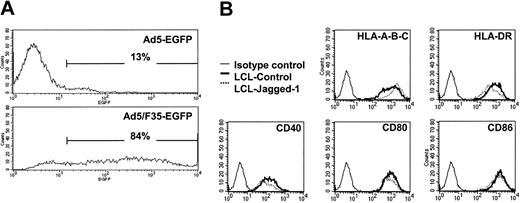 Figure 1. Comparison of Ad5 and Ad5/F35 infectivity in EBV-LCL cells. EBV-LCL cells were cocultured for 18 hours with 1500 pfu per cell of Ad5-EGFP or 200 pfu per cell of Ad5/F35-EGFP, and then washed. At 48 hours after infection, the cells were analyzed for EGFP or surface molecule expression by flow cytometry. (A) The results are expressed as the percentage of EGFP-expressing cells. (B) EBV-LCLs transduced by Ad5/F35-Jagged-1 showed the same profile of surface expression as control, MHC class I and II, and costimulatory ligands (ie, HLA-A, -B, -C; HLA-DR; CD40; CD80; and CD86). For each assay, 1 representative experiment of 4 is shown.