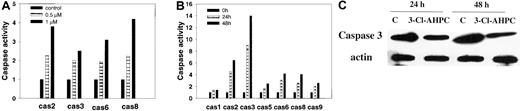 Figure 5. 3-Cl-AHPC activates caspases. (A-B) M07e (A) and leukemic cells (patient 1) (B) were treated with 3-Cl-AHPC or vehicle alone, and caspase (cas) activation was assessed as described in “Materials and methods.” (C) The 3-Cl-AHPC activation of caspase-3. Leukemic cells obtained from patient 1 were treated with 1 μM 3-Cl-AHPC or vehicle alone, and the cells were harvested at 24 or 48 hours. Caspase-3 proenzyme levels were determined by means of Western blot as described in “Materials and methods.” Actin levels were used to assess loading. The results are representative of 2 independent experiments.