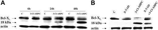 Figure 7. 3-Cl-AHPC-mediated Bcl-XL cleavage. Leukemic cells obtained from patient 11 were incubated in the presence and absence of 1 μM 3-Cl-AHPC for varying periods of time (A) or in the presence of 1 μM 3-Cl-AHPC and in the presence and absence of the caspase inhibitor Z-VAD-fluormethylketone (Z-VAD-fmk) (50 μM) for 24 hours (B). Western blots were performed with the use of anti-Bcl-XL antibody as described in “Materials and methods.” Actin levels were used to assess loading.