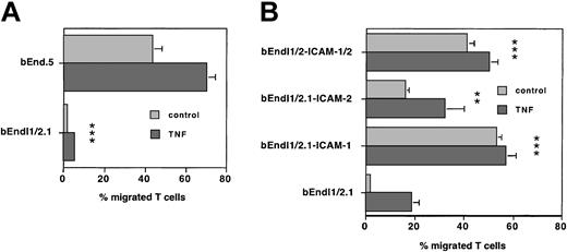 Figure 2. ICAM and T-cell TEM. Endothelial ICAM-1 and ICAM-2 are required for TEM of T cells. (A) One representative experiment comparing TEM of the T-cell line SJLB.PLP3 across unstimulated and stimulated bEnd5 and ICAM-1-/-ICAM-2-/- bEndI1/2.1 is shown. Transmigration assays were performed with the use of 6.5-mm Costar transwells (Corning Costar, Bodenheim, Germany) with 5-μm pore size. T lymphocytes were collected for cell counting from the lower chamber and the bottom of the filter. Bars represent mean ± SD (n = 3). TEM of T cells across bEndI1/2.1 is reduced to an extremely low level (***P < .001) when compared with bEnd5. This assay was reproduced 6 times. (B) One representative experiment is shown comparing transmigration of SJLB.PLP3 across bEndI1/2.1 deficient for ICAM-1 and ICAM-2; bEndI1/2.1-ICAM-1 (bEndI1/2.1 transduced with ICAM-1); bEndI1/2.1-ICAM-2 (bEndI1/2.1 transduced with ICAM-2); and bEndI1/2.1-ICAM-1/ICAM-2 (bEndI1/2.1 transduced with ICAM-1 plus ICAM-2). Re-expression of ICAM-1 or both ICAM-1 and ICAM-2 in bEndI1/2.1 reconstitutes TEM of PLP-specific T cells to extremely significant levels (***P < .001), and re-expression of ICAM-2 reconstitutes TEM to very significant levels (**P < .01) when compared with migration across bEndI1/2.1. This assay was reproduced 4 times. Bars represent mean ± SD (n = 3).