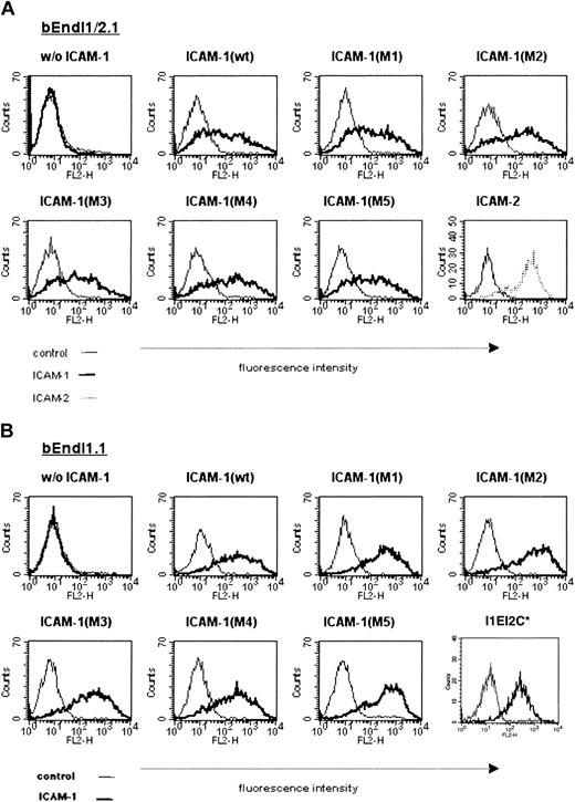 Figure 4. Comparable surface expression levels of ICAM-1 wild type and ICAM-1 mutants on bEndI1/2.1 and bEndI1.1. The surface expression levels of ICAM-1 wild type and ICAM-1 mutants transduced into bEndI1/2.1 (A) and bEndI1.1 (B) is shown as determined by FACS analysis. Endothelial cells are scatter gated on live cells; overlays show specific staining for ICAM-1 (thick lines) compared with control antibody staining (thin lines). In panel A, the surface expression level for ICAM-2 transduced into bEndI1/2.1 is included. In panel B, the surface expression level for the ICAM-1/ICAM-2 chimera I1EI2C is included. *This staining was performed separately.