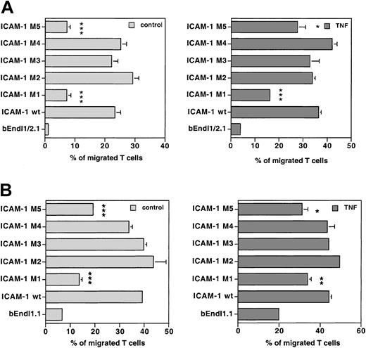 Figure 5. Comparison of TEM of PLP-specific T cells in the 2 bEnd cell lines. TEM of PLP-specific T cells was compared across bEndI1/2.1 (A) or bEndI1.1 (B) re-expressing wild-type ICAM-1 or ICAM-1 mutants. One representative experiment, performed as described in Figure 2A, directly compared TEM of SJLB.PLP3 across unstimulated and TNF-α-stimulated bEndI1/2.1 (A) or bEndI1.1 (B) with their TEM across the respective daughter endothelioma lines transduced with wild-type (wt) ICAM-1 or the ICAM-1 mutants M1, M2, M3, M4, and M5. The ICAM-1 mutants M2, M3, and M4 harboring mutations of tyrosines to phenylalanines re-established TEM of PLP-specific T cells across unstimulated and TNF-α-stimulated bEnd I1/2.1 and bEndI1.1 comparable to wild-type ICAM-1 (panels A, B). In contrast, the cytoplasmic deletion mutants M1 and M5, although restoring some TEM of PLP-specific T cells across bEnd I1/2.1 and bEndI1.1, were unable to reconstitute TEM to wild-type levels. Bars represent mean ± SD (n = 3); significant differences of wt versus mutant are marked as follows: *P < .05, significant; **P < .01, very significant; ***P < .001, extremely significant.