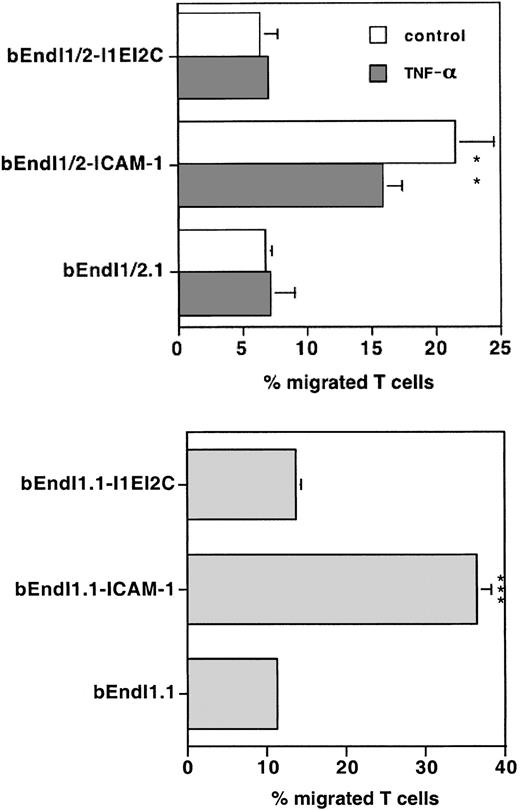 Figure 6. Comparison of TEM of PLP-specific T cells across bEndI1/2.1 or bEndI1.1 expressing the ICAM-1/ICAM-2 chimera I1EI2C. TEM of SJL.PLP2 across TNF-α-stimulated and unstimulated bEndI1/2.1 or across bEndI1.1 with their TEM across the respective daughter endothelioma lines transduced with wild-type (wt) ICAM-1 or the ICAM-1/ICAM-2 chimera I1EI2C is shown. The chimeric I1EI2C was found to be unable to reconstitute TEM to wild-type levels. Bars represent mean ± SD (n = 3). Significant differences in I1EI2C versus wt are marked as follows: **P < .01, very significant; ***P < .001, extremely significant.