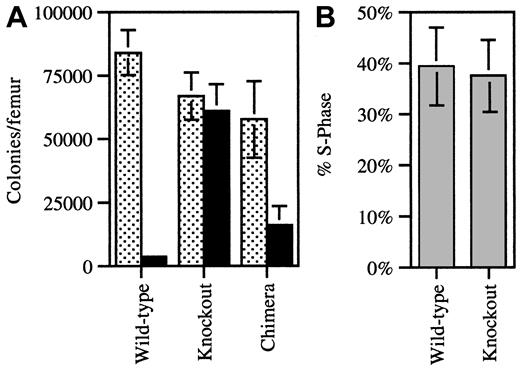 Figure 3. Quantification of CFU-GMs and cell cycle analysis. (A) Bone marrow cells harvested from individual WT (n = 3), KO (n = 3), and 9:1 (KO/WT) chimeric (n = 8) mice were plated in methylcellulose with (solid bars) and without (dotted bars) G418 (1 mg/mL) and cultured in conditions supporting the growth of CFU-GMs. The number of colonies is reported per mouse femur. Cultures of wild-type and KO cells served as controls to confirm the ability of G418 to selectively inhibit the growth of wild-type colonies. (B) The number of CFU-GMs in S-phase from 9:1 KO/WT chimeric mice (n = 6) was determined by means of an H3-thymidine suicide assay. Selective growth in G418 was used to discriminate between WT and KO CFU-GMs. Data represent the mean ± SD.