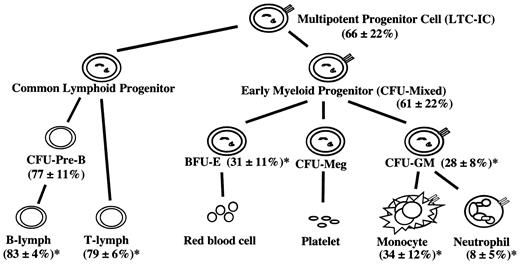 Figure 5. Summary of donor chimerism in 9:1 (KO/WT) chimeras. Shown is the summary of the data for the 9:1 (KO/WT) chimeric mice (n = 6-12). The mean percentage ± SD of the contribution of G-CSFR-/- cells in each cell population is shown. Note that, on the basis of the original transplant, a G-CSFR-/- percentage of 90% would be predicted in each lineage if no competitive advantage was present. *P < .05 when compared with the LTC-IC percentage.