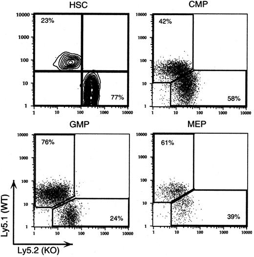 Figure 6. Progenitor analysis by multicolor flow cytometry. Populations of hematopoietic stem cells (HSCs), common myeloid progenitors (CMPs), granulocyte-macrophage progenitors (GMPs), and megakaryocyte-erythroid progenitors (MEPs) were identified by flow cytometry, as described in “Materials and methods.” Ly5.1 and Ly5.2 expression in each of the progenitor cell populations is shown for a single 9:1 (KO/WT) chimeric mouse. The percentage of KO and wild-type cells is shown in the corner of each individual plot. Data are representative of 4 mice analyzed. The KO/WT ratio for each population is reported in the text.