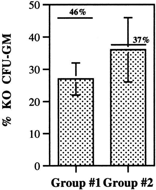 Figure 7. CFU-GM homing assay. Wild-type and G-CSFR-/- (KO) bone marrow cells were mixed in a 1:1 ratio and injected intravenously into irradiated mice. Cells were recovered from the bone marrow 24 hours after transplantation, and the number of wild-type and KO CFU-GMs measured. The percentage of KO CFU-GMs is shown for 2 independent experiments (group 1, n = 4; group 2, n = 7). The pretransplantation percentage of KO CFU-GMs is shown above each column and is indicated by a single line. Data represent the mean ± SD.