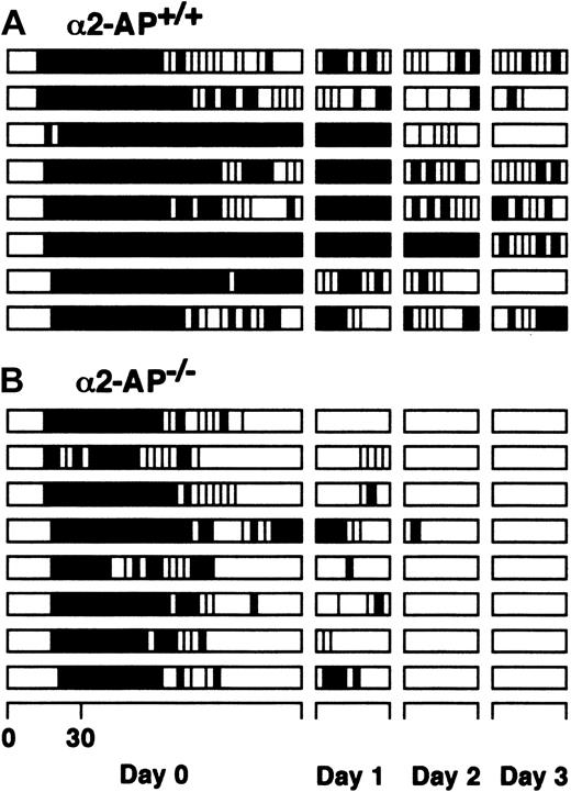 Figure 1. Alteration of arterial blood flow after endothelial injury. Vascular patency after spontaneous reperfusion in the carotid artery of α2-AP+/+ mice (A) and α2-AP-/- mice (B). The time profile of vascular patency after the endothelial injury was schematically illustrated for 120 minutes at the first observation (day 0) and for 30 minutes at day 1, 2, or 3. The black and open columns indicate the periods of vascular occlusion and of blood flow (more than 10% of the blood flow obtained before the initiation of vascular injury), respectively.