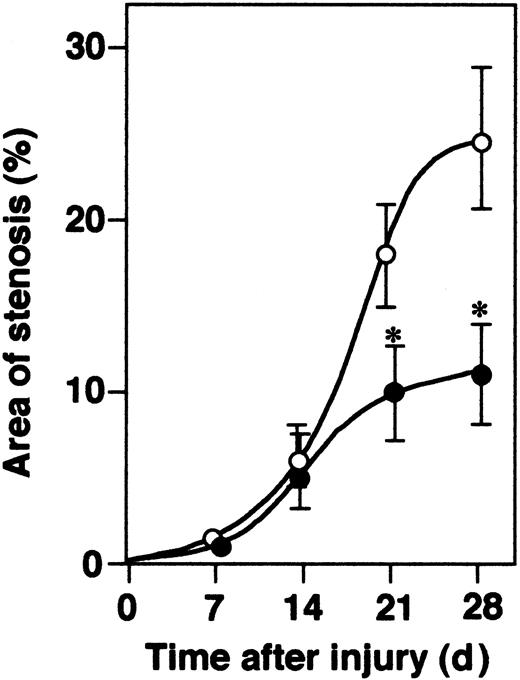 Figure 3. Time-dependent neointima formation. The development of neointima in α2-AP-/- (•) and α2-AP+/+ mice (○) is shown as the percentage of luminal stenosis by newly formed intima (n = 6 each time point). * indicates P < .05. Data represents mean ± SEM.