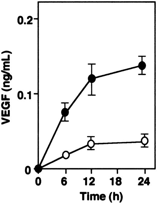 Figure 5. VEGF secretion in vitro. Spontaneous secretion of VEGF is increased in vascular SMCs from α2-AP-/- (•) as compared with those from α2-AP+/+ mice (○). Each point represents the mean of duplicate cultures. Data represents mean ± SEM.