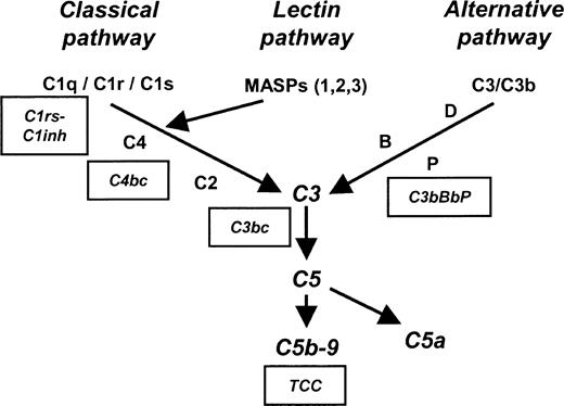 Figure 1. Schematic overview of the complement system. Boxes indicate specific complement activation products measured by enzyme-linked immunosorbent assay (ELISA) and their relation to specific complement activation pathways. C1rs-C1inh complexes reflect classical pathway activation, C4bc reflects both classical and lectin pathway activation, and C3bBbP reflects alternative pathway activation. C3bc and terminal complement complex (TCC) are activation products of the final common and terminal pathways. MBL indicates mannose-binding lectin; MASP, MBL-associated serine protease.