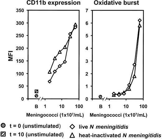 Figure 3. Comparison of live and heat-inactivated bacteria. A dose-dependent increase of granulocyte CR3 (CD11b/CD18) expression and oxidative burst was observed in lepirudin-anticoagulated human whole blood after stimulation for 10 minutes at 37°C. Results for live log-phase and heat-inactivated meningococci were similar. MFI indicates median fluorescence intensity; B, baseline (unstimulated sample) at time of incubation (t = 0) and after 10 minutes (t = 10). The experiment was repeated once with virtually identical results.