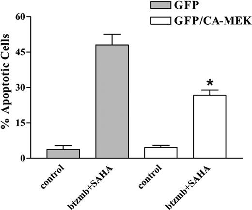 Figure 7. Effect of enforced MEK activation on SAHA/bortezomib-induced apoptosis in K562 cells. K562 cells were transiently transfected, and GFP-expressing cells were isolated using a Cytomation fluorescence-activated cell sorter as described in “Materials and methods.” Sorted cells transfected with either GFP alone or the GFP/constitutively active MEK1 fusion cDNA were cultured in drug-free medium for 5 hours, and then exposed to 1.5 μM SAHA ± 4.5 nM bortezomib for 36 hours, after which apoptosis was monitored by examining Wright Giemsa-stained cytospin preparations as described. Values represent the means ± SD for 2 separate determinations. *Significantly less than values for cells transfected with GFP alone; P < .05.