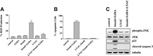 Figure 8. Effect of the antioxidant LNAC on the response of K562 cells to SAHA and bortezomib. (A) K562 cells were exposed to 1.5 μM SAHA ± 4.5 nM bortezomib in the presence or absence of 15 mM LNAC for 4 hours, after which ROS production was assayed by monitoring the percentage of cells displaying increased uptake of dichlorohydrofluoroscein diacetate (DCF) as described in “Materials and methods.” (B) Cells were treated with SAHA + bortezomib as shown in panel A ± 15 mM LNAC for 24 hours, after which the percentage of apoptotic cells was determined by examining Wright Giemsa-stained specimens under light microscopy as described in “Materials and methods.” For panels A-B, values represent the means ± SD for 3 separate experiments. (C) K562 cells were exposed to 4.5 nM bortezomib + 1.5 μ SAHA for 24 hours in the presence or absence of 15 mM LNAC, after which Western analysis was used to assess expression of JNK, phospho-JNK, p21CIP1, and cleaved caspase-3. Each lane contained 25 μg protein; blots were stripped and reprobed for tubulin to ensure equivalent loading and transfer. An additional 2 studies yielded equivalent results.