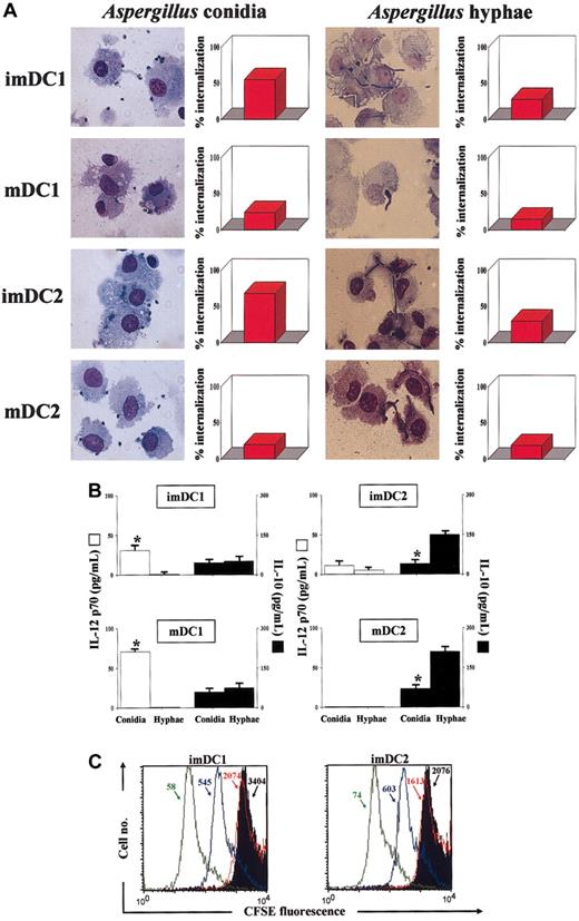 Figure 2. Activation of human dendritic cells by A fumigatus. Immature (im) and mature (m) dendritic cells (DCs) DC1 and DC2 were obtained from CD11c+ blood mononuclear cells. (A) DCs were exposed to unopsonized conidia or hyphae for the assessment of phagocytosis after 60 minutes. After a Diff Quik staining, aliquots of cells were spun down on slides on a cytocentrifuge and examined for conidia internalization by light microscopy. For each experiment, at least 5 fields in each slide were counted, and at least 200 DCs were analyzed in each well. All conditions were tested in triplicate. The data are the means of 3 independent experiments and expressed as percent internalization. (B) Cytokine production by DCs pulsed with conidia or hyphae. DCs were exposed to the different stimuli for 2 hours at 37°C before the addition of amphotericin B to prevent fungal overgrowth, and left for an additional 22 hours. The levels of cytokines were determined in the culture supernatants by cytokine-specific ELISA. *P < .05 (cytokine production by conidia-pulsed versus hypha-pulsed DCs). Cytokine levels in unexposed cells were below the detection limits of the assays. Error bars indicate SE. (C) Proliferative response of peripheral blood T cells unstimulated (black histograms) or stimulated by autologous imDC1 and imDC2, either unpulsed (red lines) or pulsed with conidia (green lines) or hyphae (blue lines), for 6 days at 37°C. CFSE staining was done as described in “Materials and methods.” Shown are the results from one donor. Similar results were obtained with 5 different donors. Numbers with arrows to the median fluorescence intensity.