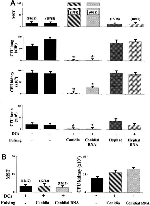Figure 3. Effect of adoptively transferred Aspergillus-pulsed DCs on resistance to aspergillosis or candidiasis. Splenic DCs were pulsed with either viable Aspergillus conidia or hyphae for 2 hours at 37°C before the addition of amphotericin B to prevent fungal overgrowth or transfected with fungal RNA for 2 hours at 37°C before wash. DCs (5 × 105) were administered into recipient mice subcutaneously, twice, 2 weeks and 1 week before the intravenous injection of 5 × 105 A fumigatus conidia (A) or C albicans (B). Resistance to infection was assessed in terms of median survival time (MST; days) and CFUs, mean ± SE. *P < .05 (mice receiving pulsed DCs versus mice not receiving DCs or receiving unpulsed DCs). In parentheses are the number of dead animals over total injected.