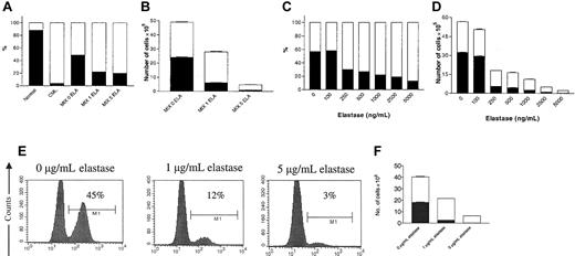 Figure 4. Elastase gives a growth advantage to CML cells in cocultures of normal and CML CD34+ cells. Mixtures of 4 × 104 normal (HLA-A2+) and CML (HLA-A2-) CD34+ cells/mL were cultured in 1 mL serum-free medium in the presence of 10 ng/mL G-CSF, GM-CSF, and SCF with different concentrations of elastase. After 8 days of culture, nucleated cells were counted, harvested, and analyzed for BCR/ABL or HLA-A2 expression. CML and normal cells cultured separately under the same conditions were used as controls. (A) Percentage and (B) absolute number of BCR/ABL-positive and -negative cells in the presence of 0, 1, or 5 μg/mL elastase (▪, BCR/ABL- cells; □, BCR/ABL+ cells). Data are representative of 2 independent experiments. (C) Percentage and (D) absolute number of HLA-A2-positive (normal) and -negative (CML) cells in the presence of increasing doses of elastase (▪, HLA-A2+ cells; □, HLA-A2-). Data represent mean ± SEM of triplicates. CML (HLA-A2-) and normal (HLA-A2+) CD34+ cells were sorted by size and granularity and cultured in the same conditions mentioned. After 8 days of culture, nucleated cells were counted, harvested, and analyzed for HLA-A2 expression by FACS. (E) Percentage and (F) absolute number of HLA-A2+ (normal) and HLA-A2- (CML) cells in the presence of 0, 1, or 5 μg/mL elastase (▪, HLA-A2+ cells; □; HLA-A2-). Data represent mean ± SEM of triplicates) and are representative of 2 independent experiments.