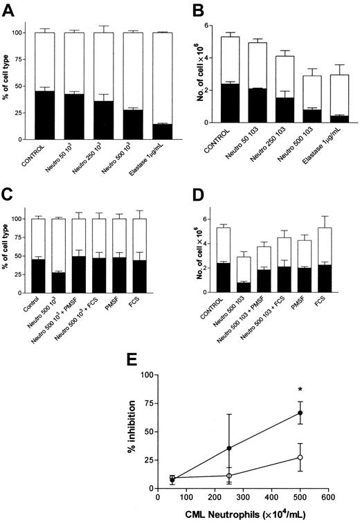 Figure 5. CML neutrophils confer growth advantage to CML cells. Mixtures of 105 normal (HLA-A2) and CML (HLA-A2-) CD34+ cells were cultured in 2 mL serum-free medium supplemented with 10 ng/mL G-CSF, GM-CSF, and SCF in the presence of varying concentrations of CML neutrophils. After 8 days of culture, nucleated cells were counted, harvested, and analyzed for the percentage expression of HLA-A2. (A) Percentage and (B) absolute number of HLA-A2-positive (normal) and HLA-A2- (CML) cells in the presence of increasing numbers of CML neutrophils (▪, HLA-A2+ cells; □, HLA-A2- cells). (C) Percentage and (D) absolute number of HLA-A2+ (normal) and -negative (CML) cells in the presence of CML neutrophils and protease inhibitor (▪, HLA-A2+ cells; □, HLA-A2-). (E) Percentage inhibition induced by CML neutrophils. Data represent mean ± SEM of 3 experiments (•, normal CD34+ cells; ○, CML CD34+ cells). *Indicates significant differences from normal values (*P < .05).