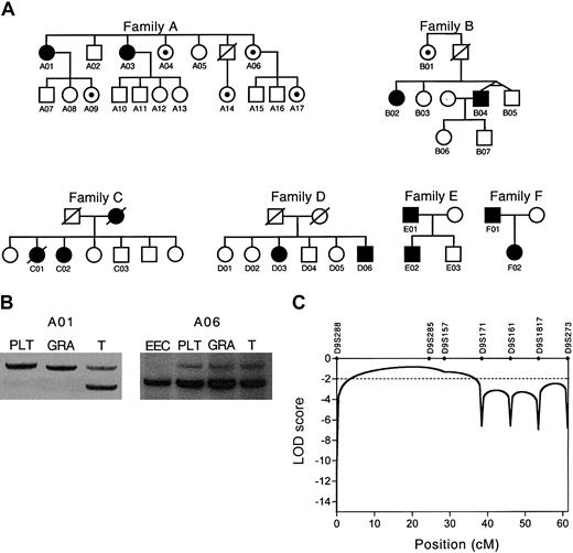Figure 1. Analyses of 6 families with PV. (A) Pedigrees of 6 families with polycythemia vera (PV). Filled symbols indicate affected individuals. In families A and B, black dots indicate hematologically normal family members with Epo-independent erythroid cells detectable in their peripheral blood cultures. (B) Clonality analysis of individuals A01 and A06 using the IDS gene exonic polymorphism. RNA isolated from T lymphocytes (T), granulocytes (GRA), platelets (PLT), and Epo-independent erythroid cells (EEC) were used for the analysis. The presence of only one expressed allele of the IDS gene in platelets, granulocytes, and Epo-independent erythroid cells is consistent with clonal origin of cells. (C) Exclusion of linkage between chromosome 9p microsatellite markers and PV. LOD scores less than -2.0 satisfy the criteria of exclusion of linkage. The dotted line depicts the customary evidence for genetic exclusion of linkage. cM indicates centimorgan.