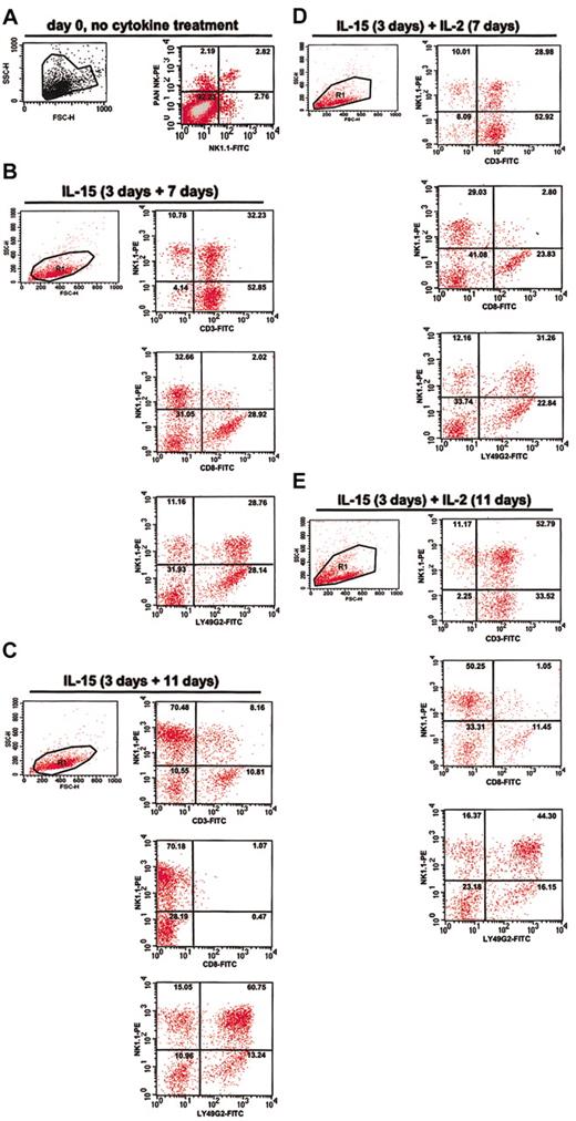 Figure 1. Characterization of IL-2- and IL-15-dependent mouse bone marrow-derived cultures enriched in NK1.1+ cells. Freshly harvested bone marrow from C57Bl/6 mice was immediately analyzed by fluorescence activated cell sorting (FACS) (A) or after cytokine treatment (B-E). Cultured cells were first treated with IL-15 for 3 days (culture initiation). Cells were then washed and cultured further in the presence of IL-15 for an additional 7 days (B) or 11 days (C), or else IL-2 for a period of 7 days (D) or 11 days (E), as indicated at the top of each panel. Cells from each culture were analyzed for side scatter (SSC-H) and forward scatter (FSC-H) and by 2-color FACS using mAbs to the surface markers NK1.1, Ly49G2, CD3, and CD8. The number in the upper right corner of each quadrant indicates the percentage of cells in that quadrant.