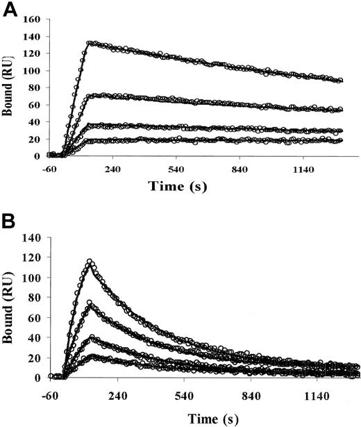 Figure 2. Association and dissociation of WT- and ΔK-scuPA from suPAR measured as surface plasmon resonance. Antihuman-uPAR monoclonal nonblocking antibodies were coupled to a CM5-research grade sensor chip flow cell. suPAR was captured for 2 minutes. Five minutes later, binding of WT-scuPA and ΔK-scuPA was measured for 2 minutes, followed by dissociation for 20 minutes. The bulk shift due to changes in refractive index measured on the monoclonal antibody/buffer surface was subtracted from the binding signal at each scuPA concentration to correct for nonspecific binding. Dissociation of suPAR from anti-uPAR antibodies, determined under the same conditions as scuPA, was also subtracted. The dose-response of scuPA (0.63 to 5 nM) binding to suPAR is shown. The lines represent a 1:1 interaction model of the binding of WT-scuPA during the association and dissociation phases. (A) WT-scuPA concentrations are 5, 2.5, 1.3, and 0.6 nM. (B) ΔK-scuPA concentrations are 10, 5, 2.5, and 1.3 nM. The lines represent the best global fit to a 1:1 binding model.