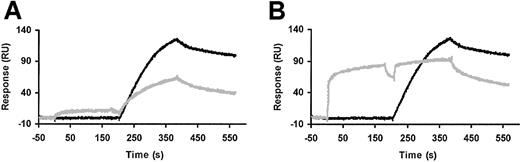Figure 3. Effect of GFD and ATF on binding of WT-scuPA to suPAR measured as surface plasmon resonance. Binding of scuPA to suPAR was measured using a BIA X optical Biosensor (Biacore). WT-suPAR was coupled to a CM5-research grade sensor chip. (A) Buffer was injected for 3 minutes (no wash) followed by a 3-minute injection of 2 nM scuPA with a 3-minute wash delay (black); 400 nM GFD was injected for 3 minutes (no wash) followed by a mixture of 400 nM GFD plus 2 nM scuPA for 3 minutes with a 3-minute wash delay (gray). (B) Buffer was injected for 3 minutes (no wash) followed by an injection of 2 nM scuPA for 3 minutes with a 3-minute wash delay (black); 400 nM ATF was then injected for 3 minutes (no wash) followed by a mixture of 400 nM ATF plus 2 nM scuPA for 3 minutes with a 3-minute wash delay (gray). Mixtures of scuPA with GFD or ATF were incubated for 30 minutes prior to injection. Data were collected at a flow rate of 30 μL/min with the data collection rate set to “high” (5 data points per second).