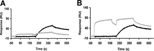 Figure 4. The effect of GFD and ATF on ΔK-scuPA binding to suPAR measured as surface plasmon resonance. ΔK-scuPA binding to recombinant suPAR was monitored as described in Figure 2. (A) Buffer was injected for 3 minutes (no wash) followed by an injection of 2 nM ΔK-scuPA for 3 minutes with a 3-minute wash delay (black); 400 nM GFD was then injected for 3 minutes (no wash) followed by a mixture of 400 nM GFD plus 2 nM ΔK-scuPA for 3 minutes with a 3-minute wash delay (gray). (B) Buffer was injected for 3 minutes (no wash) followed by an injection of 2 nM ΔK-scuPA for 3 minutes with a 3-minute wash delay (black); 400 nM ATF was then injected for 3 minutes (no wash) followed by a mixture of 400 nM ATF plus 2 nM ΔK-scuPA for 3 minutes with a 3-minute wash delay (gray). Mixtures of ΔK-scuPA with GFD or ATF were incubated for 30 minutes prior to injection. Data were collected at a flow rate of 30 μL/min with the data collection rate set to “high” (5 data points per second).