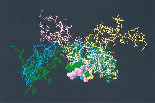 Figure 8. NMR structures of ATF. Shown are 4 structures representative of the 15 NMR published structures of ATF.55 Each structure is displayed in a separate color. Residues 105-110 (PDNRRR) are rendered as space-filling models. Of note is the variability in the spatial relationship between the GFD and kringle domains.