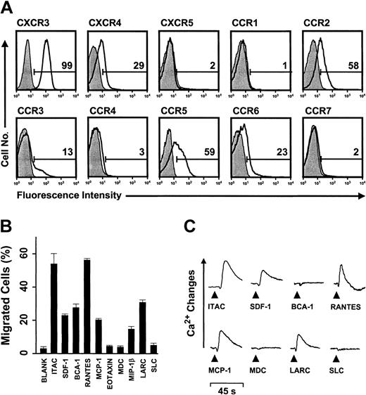 Figure 1. nflammatory migration program in human peripheral blood-derived γδ T-cell lines. (A) Flow cytometric analysis of chemokine receptors (open histograms) on resting (previously activated, nonproliferating), IPP-selective γδ T-cell lines derived from human peripheral blood. Filled histograms represent control staining with isotype-matched Abs, and numbers refer to the percent receptor-positive cells. (B) Chemotactic migration and (C) Ca2+ mobilization responses in resting IPP-selective γδ T cells. Migration data, expressed as the fraction (percent) of input cells that have migrated (± SD), correspond to maximal responses determined by titration of chemokine concentrations; BCA-1 was only active at the highest concentration (3 μM) tested. Maximal chemotaxis responses were obtained with 1 or 10 nM I-TAC, SDF-1, MCP-1, RANTES, MDC, and MIP-1β; 100 nM eotaxin and LARC; 1 μM SLC; and 3 μM BCA-1. Ca2+ mobilization data correspond to 100 nM of chemokines. Functional data are representative of at least 3 independent experiments.