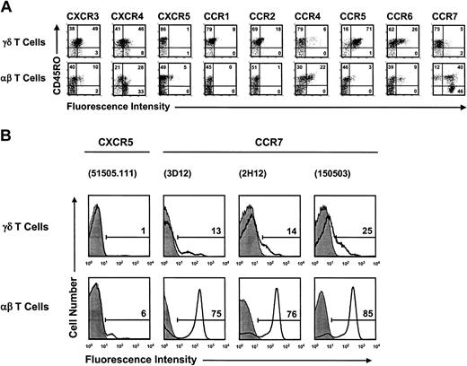 Figure 3. γδ T cells and αβ T cells in peripheral blood differ fundamentally in their respective chemokine receptor expression profiles. (A) Dot plot diagrams show double staining data for CD45RO and chemokine receptors in freshly isolated peripheral blood γδ T cells (upper row) and αβ T cells (lower row). The data are representative of a study that included peripheral blood from a total of 19 donors. (B) γδ T cells and αβ T cells from the same donor blood differ substantially in their levels of cell surface CCR7 and CXCR5. Chemokine receptor staining data (open histograms) are plotted over control stainings with isotype-matched Abs (filled histograms). Bars define gates for receptor-positive cells, and numbers refer to the percent of receptor-positive cells. The Abs used in flow cytometric analysis are listed in parentheses and include 1 rat mAb (3D12) and 2 mouse mAbs (2H12, 150503) against CCR7 and 1 mouse mAb (51505.111) against CXCR5. The data are representative of a comparative analysis with peripheral blood T cells from 3 healthy individuals.