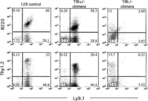 Figure 3. TfR-/- chimeras fail to produce mature B or T cells in the circulation. Flow cytometry was performed on blood from TfR chimeras generated on a RAG2-/- background. Nucleated blood cells were stained with Ly9.1 (an antibody recognizing cells of 129 strain origin), B220 (pan B-cell marker), and Thy1.2 (pan T-cell marker). Cells (10 000-50 000) were counted for each sample. The plots shown for the TfR-/- chimera are representative of all 6 chimeras obtained. Percentages of cells in each quadrant are indicated. Fewer total cells were counted for the 129 control, therefore fewer cells appear on the dot plot.