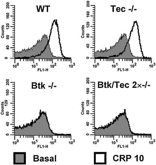 Figure 5. Btk-/-/Tec-/- platelets do not show surface expression of P-selectin after stimulation by CRP, in contrast to wild type. Washed platelets in the presence of lotrafiban (10 μM) and at a concentration of 1 × 107/mL were incubated with vehicle or CRP (10 μg/mL) for 10 minutes before dilution to 1 × 106/mL. Basal or stimulated platelets were stained for 30 minutes with an FITC-conjugated anti-P-selectin antibody. The relative fluorescence of the stained platelets was investigated by flow cytometry and is displayed as a histogram of counts versus fluorescence intensity. Graphs show that in wild-type and Tec-/- platelets there is a significant shift of the population to higher intensities of fluorescence, indicating P-selectin expression on the platelet surface. This shift is not seen with Btk-/- and Btk-/-/Tec-/- platelets, which show no change in distribution on stimulation. This experiment was conducted 5 times, and the histograms shown are representative of these.