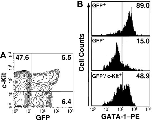 Figure 1. Expression analyses of GFP and GATA-1 in hematopoietic progenitors. (A) The Lin- fraction from the bone marrow of the G1-HRD-GFP transgenic mouse was stained with APC-conjugated anti-c-Kit antibody and analyzed by FACS. The percentage of cells in each quadrangle is shown. (B) Immunostaining of intracellular GATA-1 in the sorted cells. Almost all GFP+ cells in the Lin- fraction were GATA-1 positive (top panel). Most GFP- cells in the Lin- fraction were GATA-1-negative (middle). The Lin-/c-Kit+/GFP- fraction contains approximately half of GATA-1-positive cells (bottom panel).
