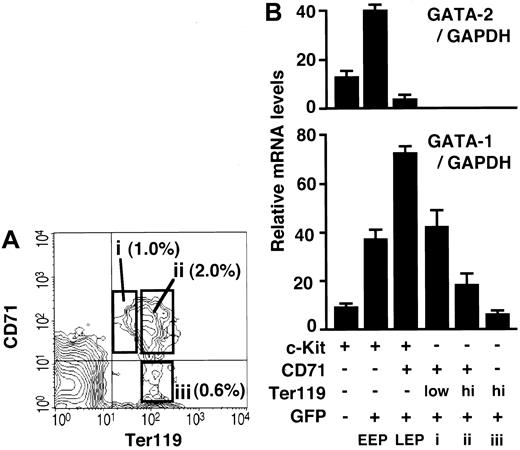 Figure 4. Quantitative analyses of GATA-1 and GATA-2 mRNAs during erythroid differentiation. (A) Bone marrow cells were analyzed for CD71 and Ter119 expression. Cells in open boxes (i-iii) were sorted and analyzed for GATA-1 expression level in B. The percentage of cells in each box is shown. (B) The relative GATA-1 and GATA-2 mRNA levels at different stages of erythroid cell development were measured by quantitative RT-PCR and normalized to the level of GAPDH mRNA. Erythroid differentiation is indicated by the x-axis from left to right.