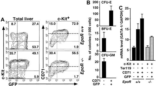 Figure 6. Analyses of normal and abnormal fetal erythropoiesis by the G1-HRD-GFP transgene. (A) Total (left) and c-Kit+ (right) cells from wild-type (top) and EpoR-null (bottom) E12.5 fetal livers with G1-HRD-GFP transgene were analyzed by FACS. The percentage in each quadrangle is shown. The means of the CD71 expression levels in the CD71+ fractions from each embryo are indicated by dotted lines. (B) Colony assay of sorted cells from G1-HRD-GFP transgenic fetal liver. (C) Result of the quantitative RT-PCR analysis of GATA-1 in EpoR+/+::G1-HRD-GFP+ (closed bars) and EpoR-/-::G1-HRD-GFP+ (hatched bars) fetal liver cell fractions. The GATA-1 mRNA levels were normalized to the level of GAPDH mRNA. The results are shown with standard deviations.