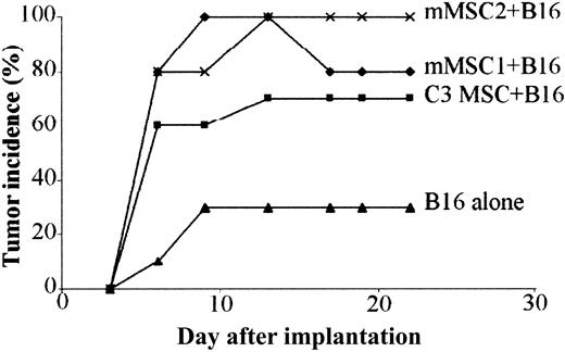 Figure 8. Primary mMSCs trigger tolerance of B16 melanomas. A mix of 5 × 105 B16 tumor cells and 5 × 105 mMSCs was implanted in subcutaneous sites of BALB/c mice and compared with the injection of B16 cells alone. C3 MSCs or 2 different sources of primary MSCs (mMSC1 and mMSC2) were used. The difference in tumor incidence between animals injected with B16 and MSCs and those receiving B16 alone was highly significant (P < .0001) using the Fisher exact test.