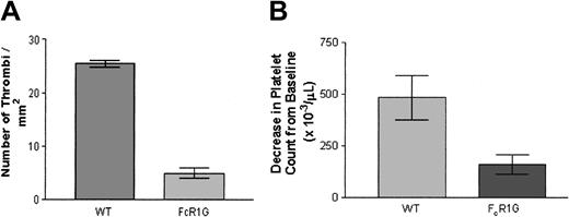 Figure 3. FcγR chain-dependent collagen-induced pulmonary embolism. (A) The number of thrombi in the lungs of FcγR+/+ or FcγR-/- mice at the time of sacrifice 3 minutes after injection of 25 μg collagen was determined. Data are presented as mean ± SEM. (B) The absolute decrement in the platelet count from baseline of FcγR+/+ or FcγR-/- mice one minute after injection of 25 μg collagen was determined.