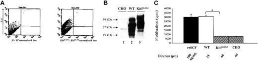 Figure 5. Analysis of the biologic activity of mutant KitlSl-20J protein. (A) Flow cytometric analysis of fetal liver stromal cells derived from KitlSl-20J homozygous embryos (right) at 14.5 dpc demonstrates surface expression of Kitl protein. Fetal liver stromal cell line Sl/Sl4 derived from KitlSl/KitlSl embryos that lack expression of Kitl2 is used as the negative control (left). (B) Immunoblot analysis of conditioned medium from transfected CHOK1 cells. Conditioned medium was tested for expression of Kitl by immunoblotting with anti-murine SCF antibody. In lane 1, conditioned medium from nontransfected CHOK1 cells shows absence of Kitl. Lane 2 contains 15 μL conditioned medium from wild-type clone; lane 3, 30 μL conditioned medium from mutant (KitlSl-20J) clone. (C) Proliferation of MO7E cells in response to conditioned medium containing WT and KitlSl-20J proteins, measured by thymidine incorporation assay. Recombinant rat SCF and conditioned medium from nontransfected CHO cells (CHO) were used as controls (n = 6, mean ±SD; * P < .01, WT vs KitlSl-20J).